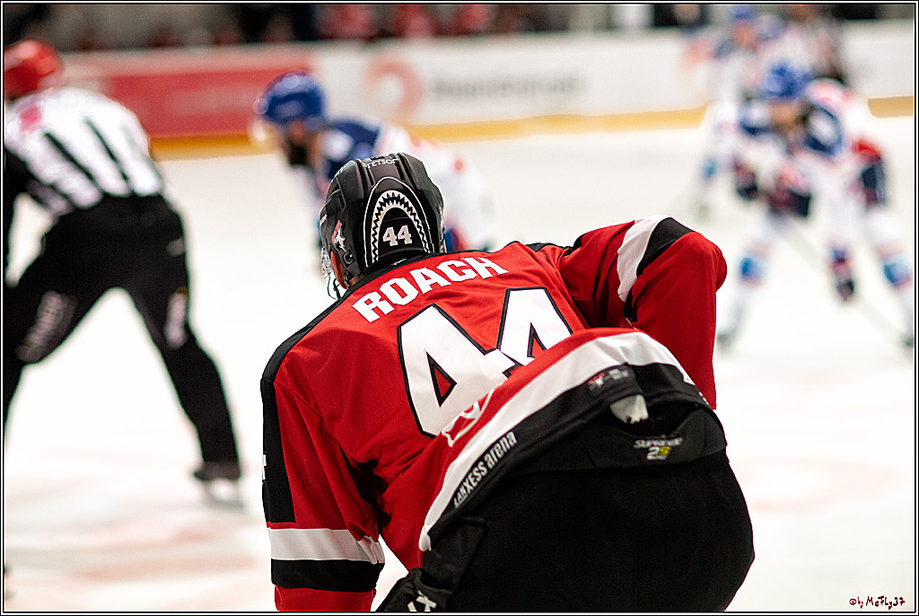 PENNY DEL;  Koelner Haie - Adler Mannheim; Koeln, 19.08.2021